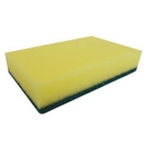 Scourer Sponge Green Pk 10