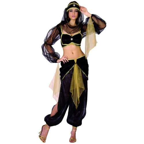 Costume Arabian Harem Adult Large Ea