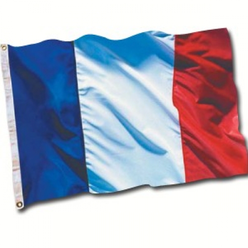 French Supporter Flag Ea