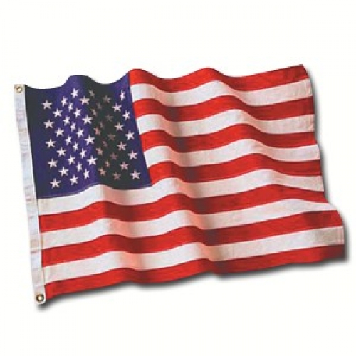 American Supporter Flag Ea