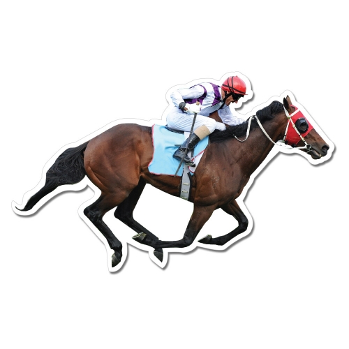 Racing Horse Mobile 600mm x 450mm Ea