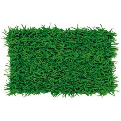 Grass Mat Tissue Green Pk 2 LIMITED STOCK