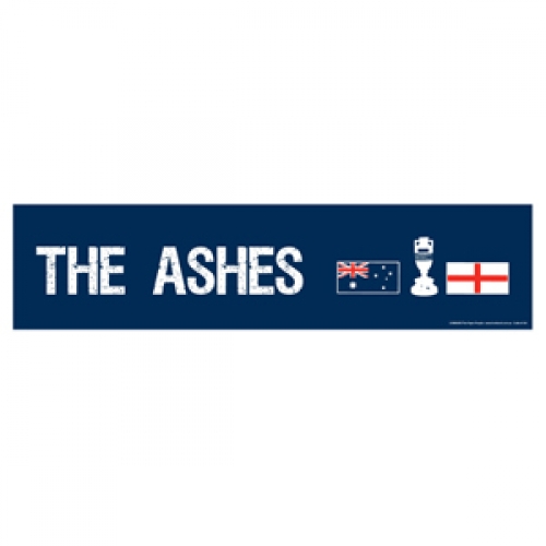 Ashes Banner Ea CLEARANCE