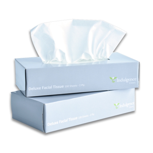 Facial Tissue 2Ply Deluxe 100's Ct 48