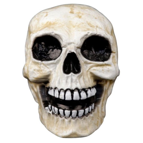 Skull Smiling 23cm Ea