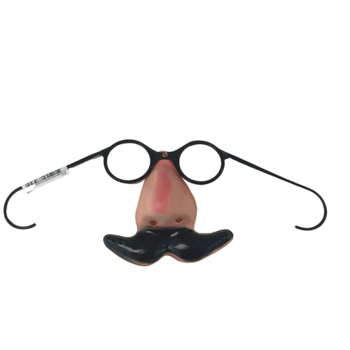 Glasses with Disguise & Nose Plastic Ea