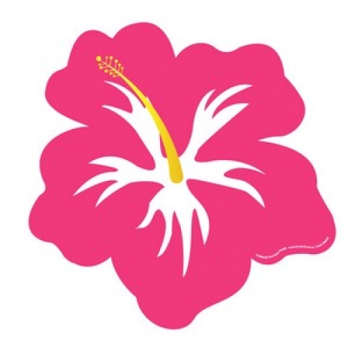 Cut Out Hibiscus Pink Ea