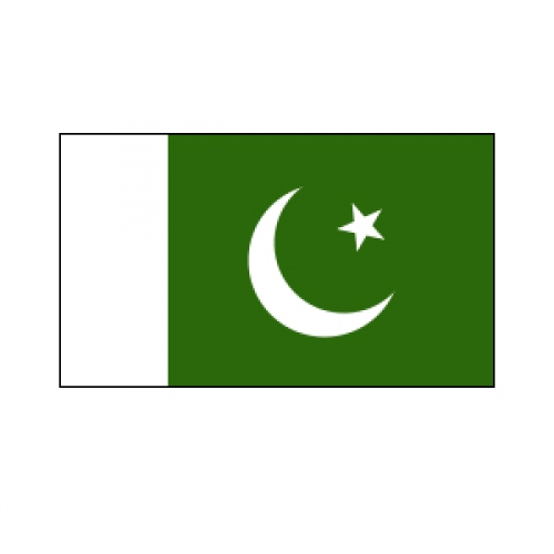 Pakistan National Flag Supporter Ea LIMITED STOCK