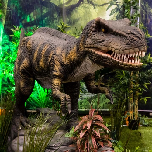 Dinosaur Tyrannosaurus Rex 2.145m x 3.5m HIRE