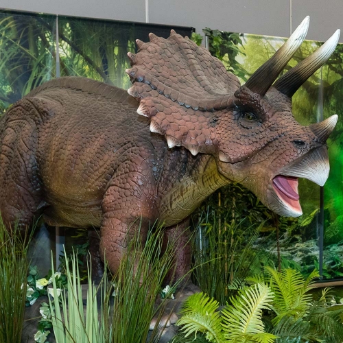 Dinosaur Triceratops 1.9m x 3.6m HIRE