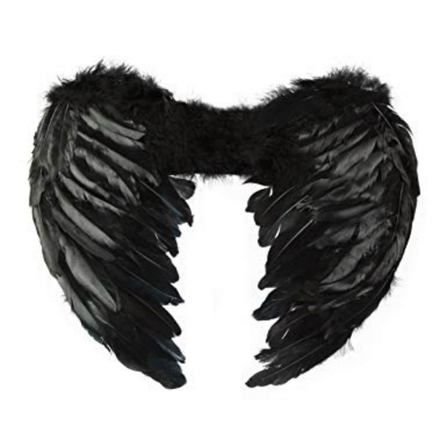 Wings Black Feather Large Ea