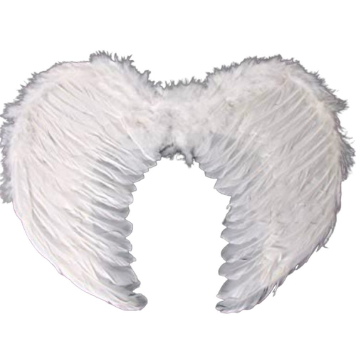 Wings White Feather Large Ea
