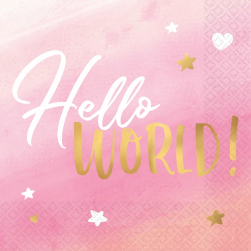 Oh Baby Hello World Pink Napkin Lunch Pk 16