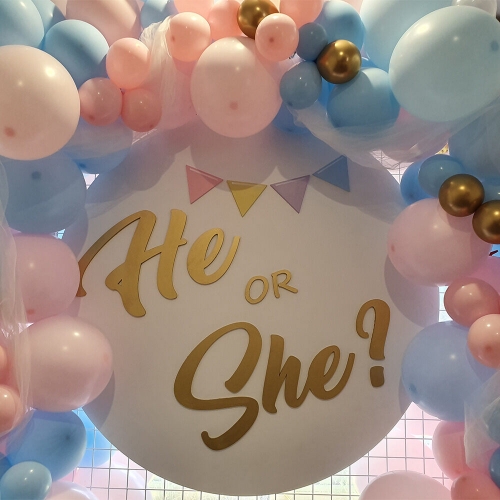 Plaque Gender Reveal He or She ? Round 1.1m HIRE Ea