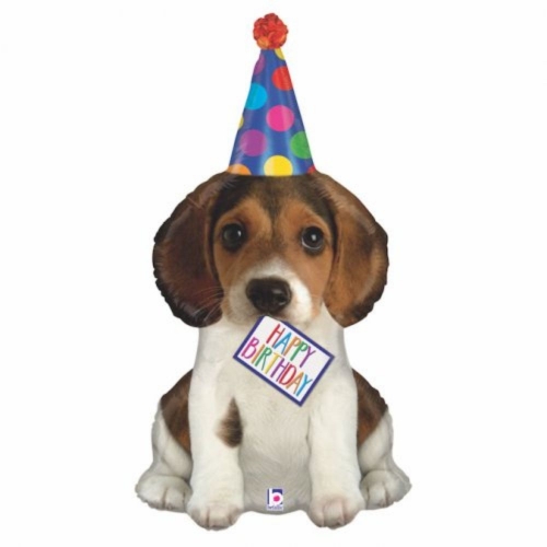 Balloon Foil Supershape Birthday Puppy 1m Ea
