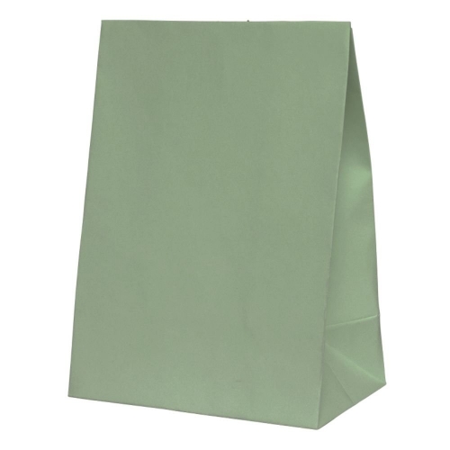 Ultra Party Paper Bag Eucalyptus 18cm Pk 10